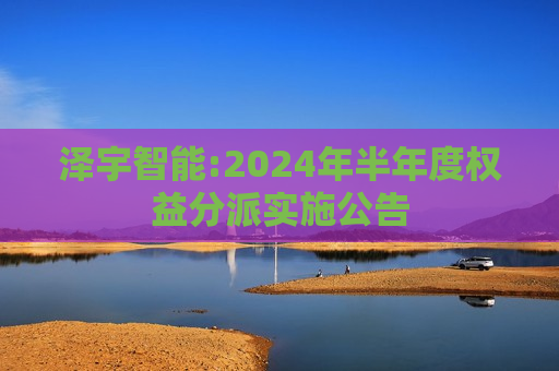 泽宇智能:2024年半年度权益分派实施公告  第1张