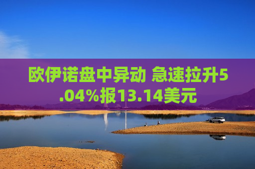 欧伊诺盘中异动 急速拉升5.04%报13.14美元