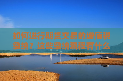 如何进行期货交易的增值税缴纳？这些缴纳流程有什么注意事项？