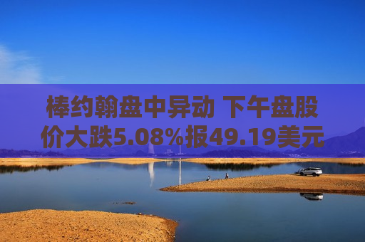 棒约翰盘中异动 下午盘股价大跌5.08%报49.19美元