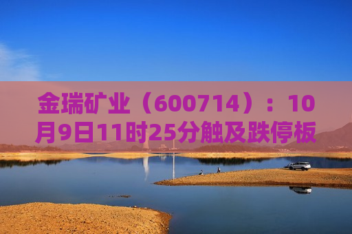 金瑞矿业（600714）：10月9日11时25分触及跌停板