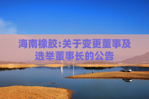 海南橡胶:关于变更董事及选举董事长的公告