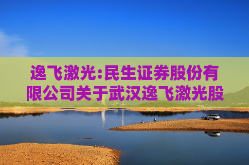 逸飞激光:民生证券股份有限公司关于武汉逸飞激光股份有限公司差异化权益分派特殊除权除息事项的核查意见