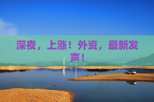 深夜，上涨！外资，最新发声！