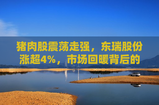 猪肉股震荡走强，东瑞股份涨超4%，市场回暖背后的产业变革与投资机会，猪肉股强势回暖，产业变革与投资机会，猪肉股强势回暖，产业变革与投资机会  第1张