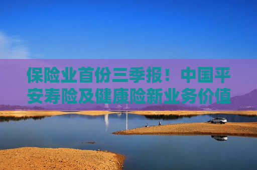保险业首份三季报！中国平安寿险及健康险新业务价值同比增34% 行业评价：权益投资比例仍有较大提升空间