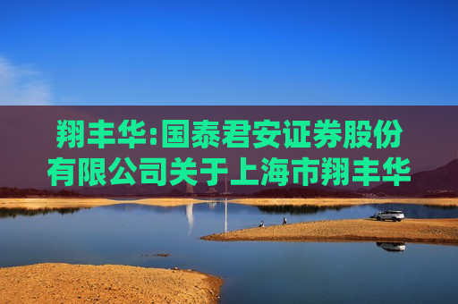 翔丰华:国泰君安证券股份有限公司关于上海市翔丰华科技股份有限公司使用部分暂时闲置募集资金进行现金管理和部分暂时闲置自有资金进行委托理财的核查意见  第1张