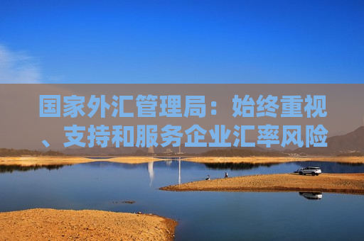 国家外汇管理局：始终重视、支持和服务企业汇率风险管理  第1张