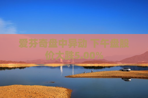 爱芬奇盘中异动 下午盘股价大跌5.00%