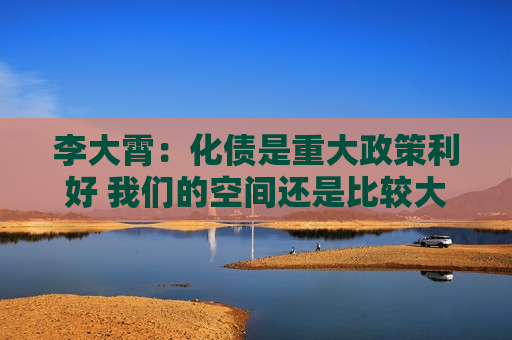 李大霄：化债是重大政策利好 我们的空间还是比较大的  第1张