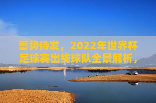 蓄势待发，2022年世界杯足球赛出线球队全景解析，2022年世界杯足球赛出线球队全景解析，蓄势待发，蓄势待发，揭秘2022年世界杯足球赛出线球队全景