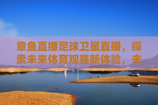 章鱼直播足球卫星直播，探索未来体育观赛新体验，未来体育观赛新体验，章鱼直播足球卫星直播，章鱼直播足球卫星直播，未来体育观赛新体验开启
