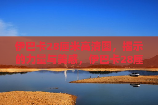 伊巴卡28厘米高清图，揭示的力量与美感，伊巴卡28厘米肌肉线条之美，伊巴卡28厘米肌肉线条之美，力量与魅力的完美结合