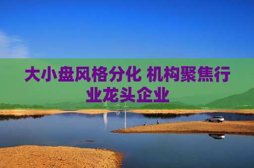 大小盘风格分化 机构聚焦行业龙头企业