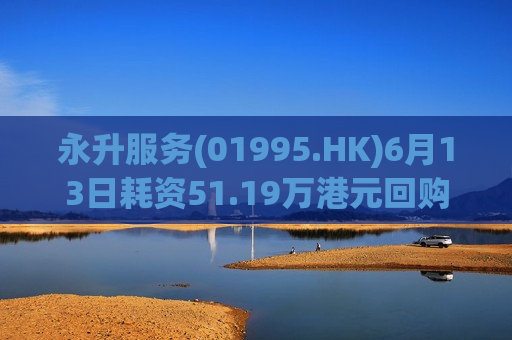 永升服务(01995.HK)6月13日耗资51.19万港元回购30万股