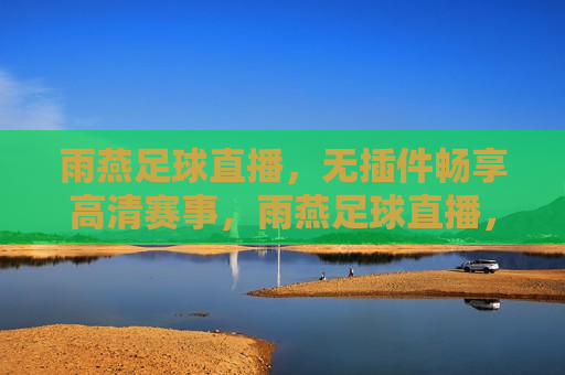 雨燕足球直播，无插件畅享高清赛事，雨燕足球直播，无插件观看高清赛事，雨燕足球直播，无插件观看高清赛事的新体验