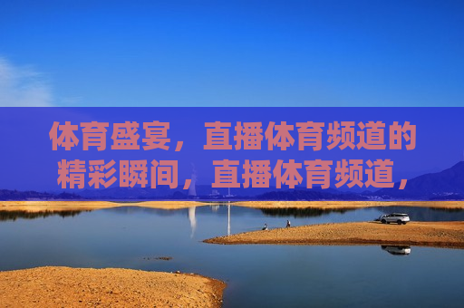 体育盛宴，直播体育频道的精彩瞬间，直播体育频道，体育盛宴的精彩瞬间，体育盛宴与直播体育频道的精彩瞬间