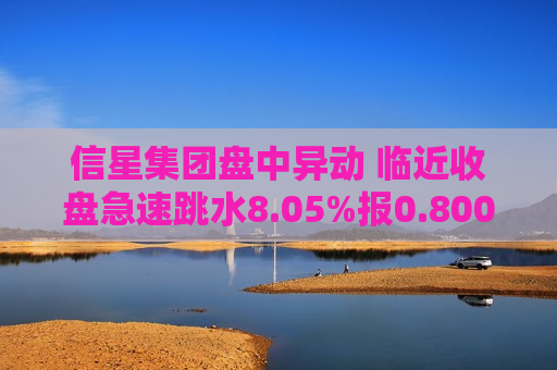 信星集团盘中异动 临近收盘急速跳水8.05%报0.800港元  第1张