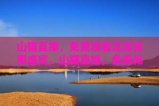 山猫直播，免费观看足球赛事盛宴，山猫直播，免费畅享足球赛事盛宴，山猫直播，免费畅享足球盛宴