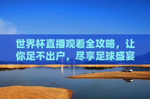 世界杯直播观看全攻略，让你足不出户，尽享足球盛宴，足不出户，尽享足球盛宴，世界杯直播观看全攻略，足不出户，畅享世界杯，直播观看全攻略  第1张