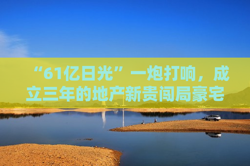 “61亿日光”一炮打响，成立三年的地产新贵闯局豪宅赛道  第1张