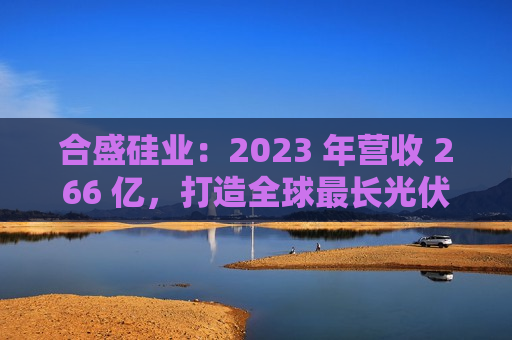 合盛硅业：2023 年营收 266 亿，打造全球最长光伏全产业链