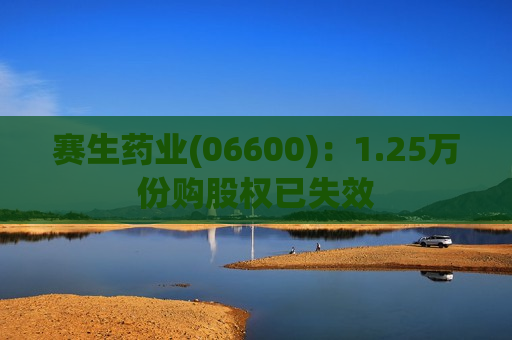 赛生药业(06600)：1.25万份购股权已失效