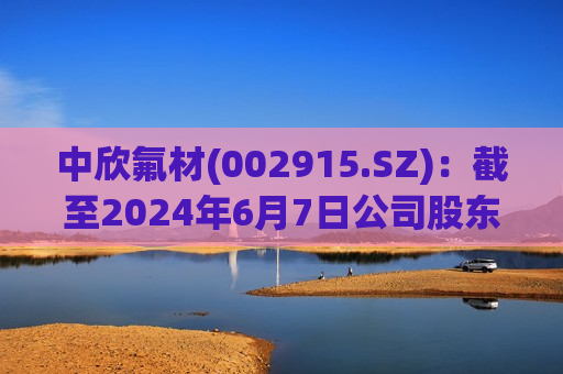 中欣氟材(002915.SZ)：截至2024年6月7日公司股东人数为29676户
