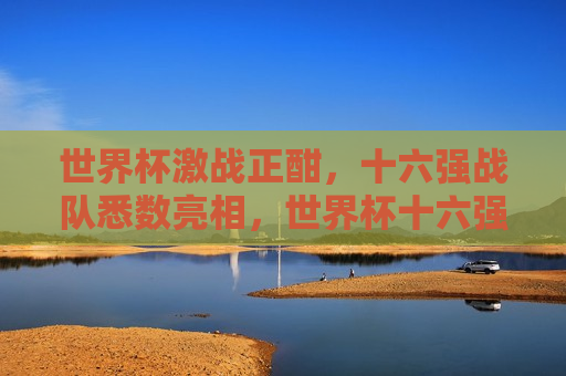 世界杯激战正酣，十六强战队悉数亮相，世界杯十六强战队闪耀登场，世界杯十六强战队闪耀登场  第1张