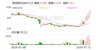 8天5板锦龙股份：拟 *** 东莞证券20%股份 已正式公开挂牌
