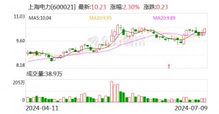上海电力：上半年完成发电量358.82亿千瓦时
