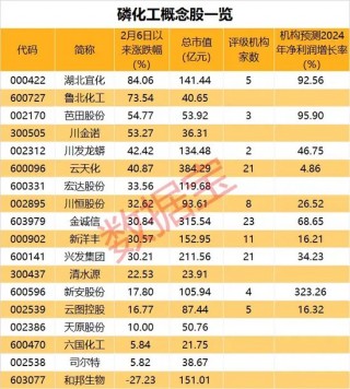 这一指数合约集体暴跌，原因为何？磷矿石价格持续上扬，上市公司股价业绩丰收，全年业绩有望增长的个股揭秘