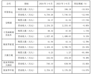 “山水旅游之一股”张家界上半年亏损超6000万！为什么？