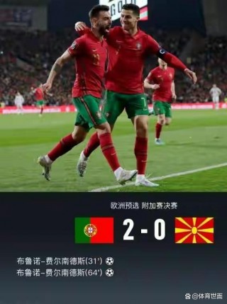 葡萄牙世界杯附加赛(葡萄牙世界杯附加赛踢过几次)