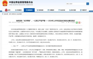  *** 严查IPO欺诈！华道股份及相关责任人因虚增业绩合计被罚1150万元