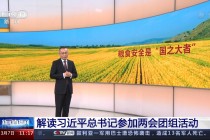 直播中央一台(电视直播中央一台)