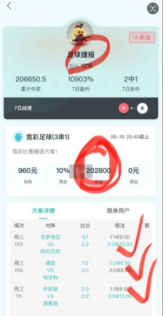 荷兰对阿根廷比分预测分析(荷兰对阿根廷比分预测分析报告)