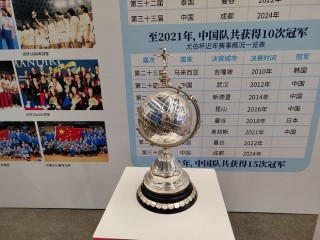 汤姆斯杯历届冠军名单(汤姆斯杯羽毛球赛历届冠军)