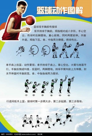 篮球基本常识及规则(篮球基本常识及规则手势)