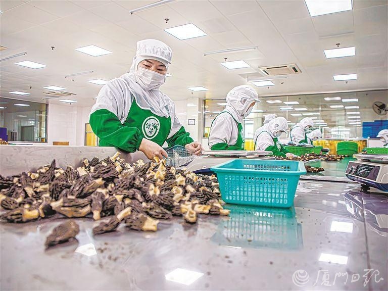 如何因地制宜践行大食物观？(如何因地制宜践行大食物观论文)  第1张